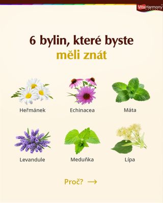 ✨ 6 bylin, které byste měli znát 🌿 Objevte přírodní pomocníky pro zdraví i pohodu: heřmánek na uklidnění, lípa při...