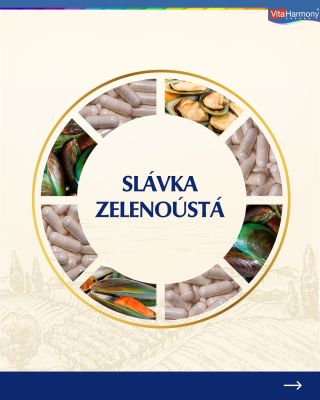 Slávka zelenoústá – přírodní pomoc pro namáhané klouby a pohybový aparát 🦪💪 Obsahuje látky, které přirozeně vyživují...