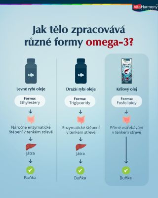 Věděli jste, že různé formy Omega-3 se v těle zpracovávají odlišně? 🐟 Objevte, jaký je rozdíl mezi klasickým rybím olejem...